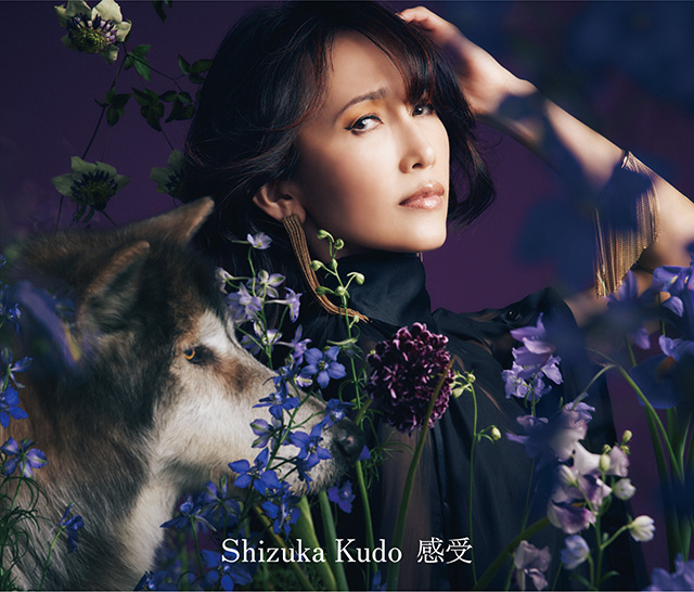 感受 Shizuka Kudo 35th Anniversary self-cover album